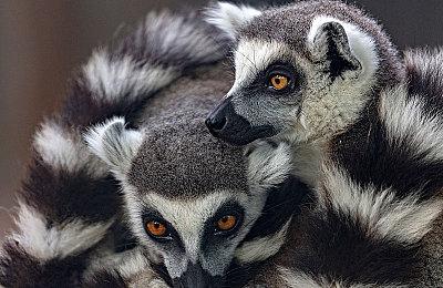 SE发布《星之海洋2：第二个故事R》背景音乐片段